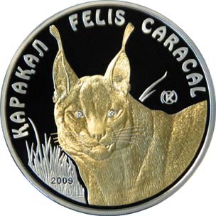 Felis Caracal with 2 diamonds - 100 Tenge - 2009 - Kazakhstan - silver coin