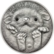 Long-eared Hedgehog - 500 Togrog - 2012 - Mongolia - silver coin with crystals