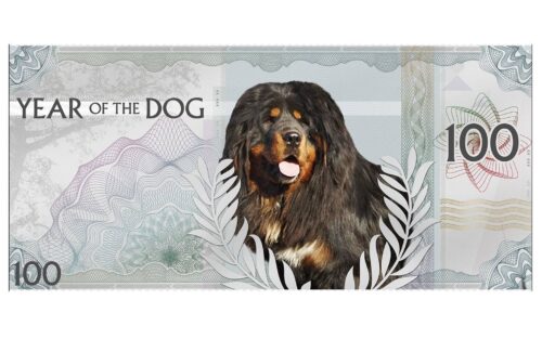 Year of the Dog - 100 Togrog - 2018 - Mongolia - silver coin