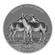 Equus Hemionus (Qulan, Kulan) - 100 Tenge - 2021 - Kazakhstan - nickel coin